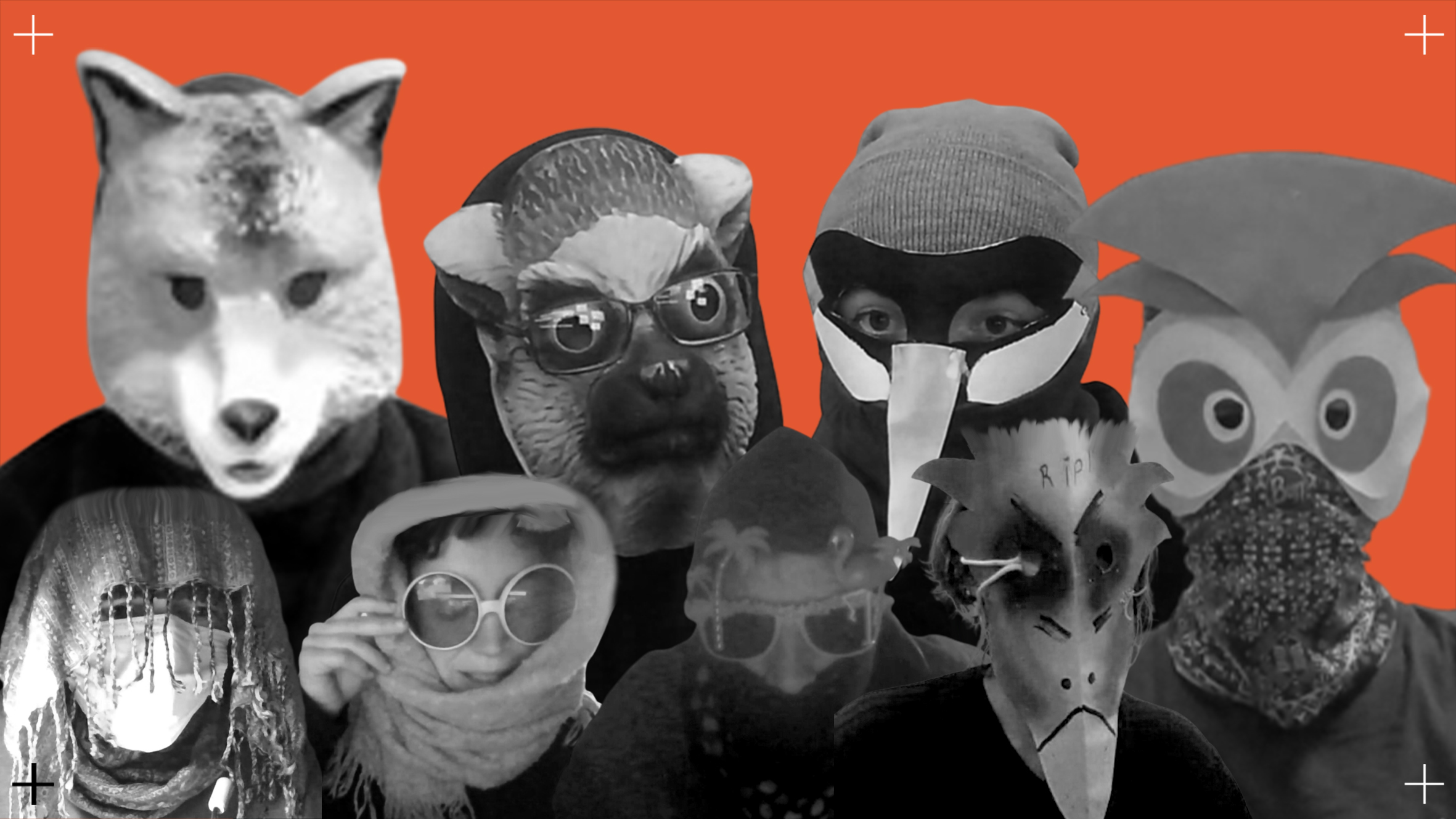 No Bassaran ! Atelier pratique du parfait contestataire. Tout savoir avant de manifester